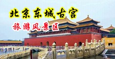 大鸡巴插小穴视频在线免费观看中国北京-东城古宫旅游风景区